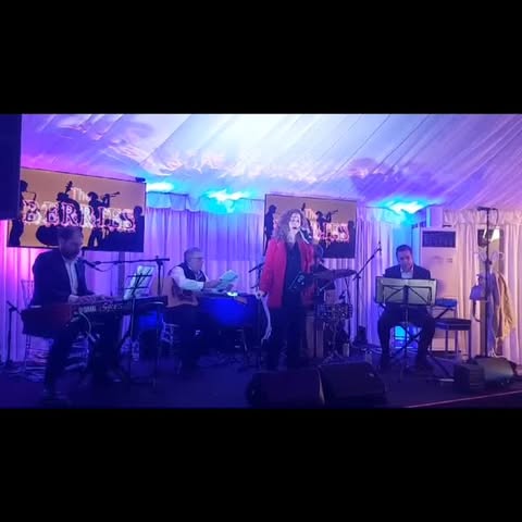 Concierto The Berries
